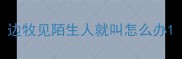边牧见陌生人就叫怎么办
