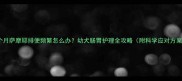 3个月萨摩耶排便频繁怎么办幼犬肠胃护理全攻略附科学应对方案
