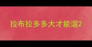 拉布拉多多大才能遛