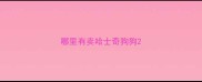 哪里有卖哈士奇狗狗
