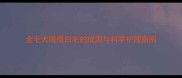 金毛犬眼周白毛的成因与科学护理指南