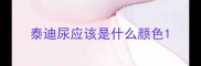 泰迪尿应该是什么颜色