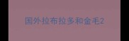 国外拉布拉多和金毛