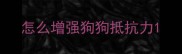 怎么增强狗狗抵抗力
