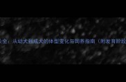 柴犬成长全从幼犬到成犬的体型变化与饲养指南附发育阶段图解