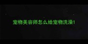 宠物美容师怎么给宠物洗澡
