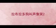 拉布拉多狗叫声像哭