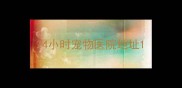 24小时宠物医院地址