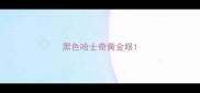 黑色哈士奇黄金眼