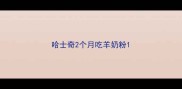 哈士奇2个月吃羊奶粉