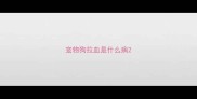 宠物狗拉血是什么病