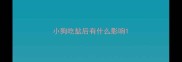 小狗吃盐后有什么影响