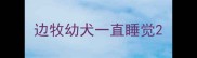 边牧幼犬一直睡觉