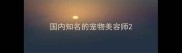 国内知名的宠物美容师