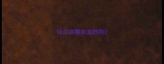 哈尔滨哪卖宠物狗