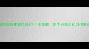 格力狗粮训练狗狗跑步3个月全攻略新手必看运动习惯养成指南
