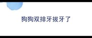 狗狗双排牙拔牙了