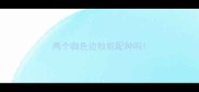 两个咖色边牧能配种吗