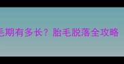 秋田犬幼犬换毛期有多长胎毛脱落全攻略附护理指南