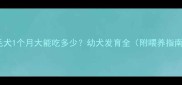 金毛犬1个月大能吃多少幼犬发育全附喂养指南