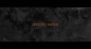 成年拉布拉多吃鸡蛋