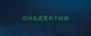 边牧后退里有个结痂
