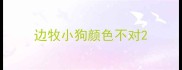 边牧小狗颜色不对