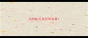 边牧的毛发红咋会事