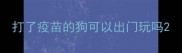 打了疫苗的狗可以出门玩吗