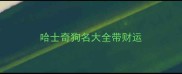 哈士奇狗名大全带财运