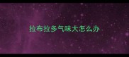 拉布拉多气味大怎么办