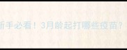 狗狗疫苗时间表新手必看3月龄起打哪些疫苗附超全注意事项