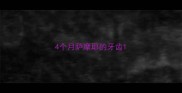4个月萨摩耶的牙齿