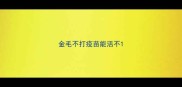 金毛不打疫苗能活不