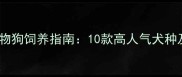 最全小型宠物狗饲养指南10款高人气犬种及养护要点