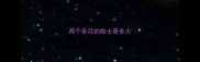 两个多月的哈士奇多大