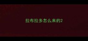 拉布拉多怎么来的