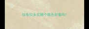 拉布拉多买哪个颜色好看吗
