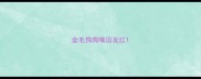 金毛狗狗嘴边发红