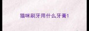 猫咪刷牙用什么牙膏