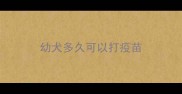 幼犬多久可以打疫苗