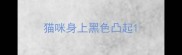 猫咪身上黑色凸起