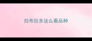拉布拉多这么看品种