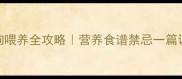两个月小土狗喂养全攻略营养食谱禁忌一篇说清新手必看