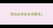 奶白拉布拉多有黑毛