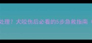 被犬类抓伤后如何紧急处理犬咬伤后必看的5步急救指南附狂犬病预防全攻略