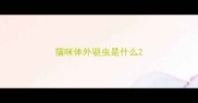 猫咪体外驱虫是什么