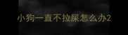 小狗一直不拉屎怎么办
