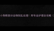 警惕小狗眼部分泌物别乱处理附专业护理全攻略干货