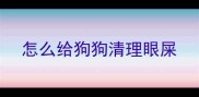 怎么给狗狗清理眼屎